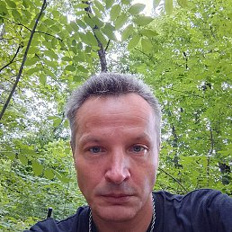 , 44, 