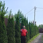 , 49 , 