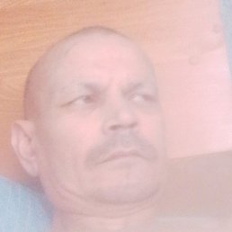 ����, ������, 46 ���