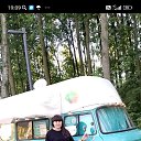 ���� ������, ������-��-����, 44 ���� - ��������� 25 ��� 2026 � ������ ���� ����������