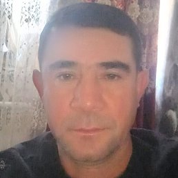 , , 50 