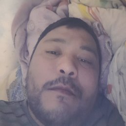 �������, �����������, 41 ���