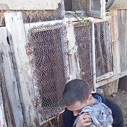 ����, ������, 40 ���