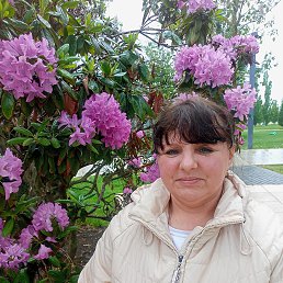 ���� �������, ������, 46 ��� - ��������� 13 ������� 2026