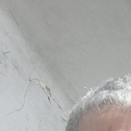 , , 44 