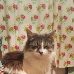 ���� �������, ������, 51 ��� - ��������� 21 ������� 2023