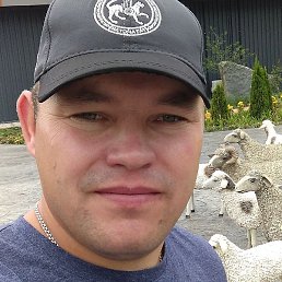 ����� �����������., ���, 38 ���