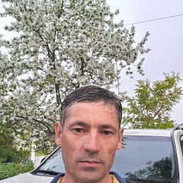 , 43, 