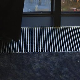 �����, ������, 37 ���