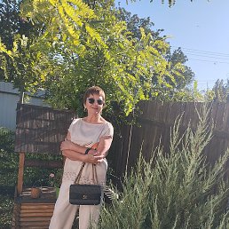 �������, ������-��-����, 67 ���