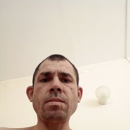  , 37 , 