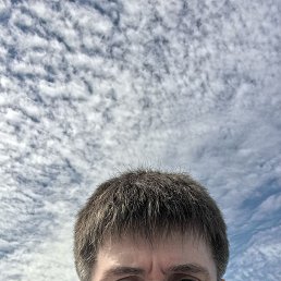 , 53, 