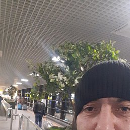 ���, ������, 41 ���