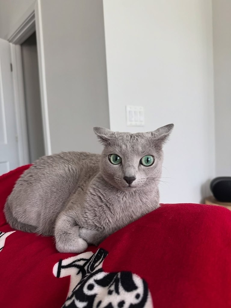  .    ,      .,  ,    ... - 3