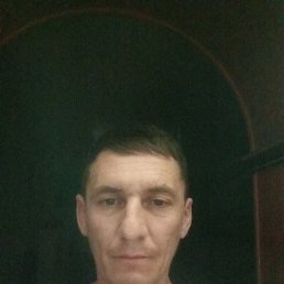 ������, 44 ����, ���