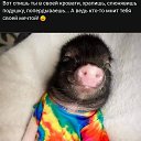 ���� ������, �����-���������, 54 ���� - ��������� 18 ������� 2025 � ������ ������ ��������