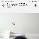 ���� ����� ��������, ���, 61 ��� - ��������� 17 ������ 2025