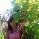 ���� ������, ������, 41 ��� - ��������� 10 �������� 2026 � ������ ���� ����������