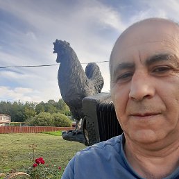, 55, 