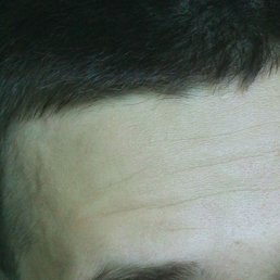 ����, ��������, 31 ���