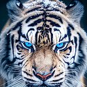 ���� Shamshod, �����-���������, 26 ��� - ��������� 1 ������� 2024