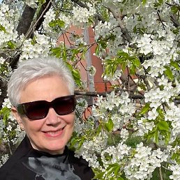 Aleftina, ���������