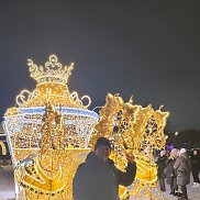 ��������, 55 ���, ������