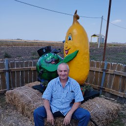 , 58 , 