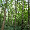 ���� Oleg, ������ - ��������� 10 ������ 2026 � ������ �Environs�