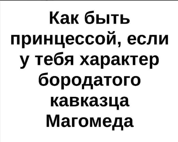   - 8  2025  16:28
