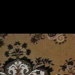 ����, ���������, 48 ���