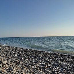 Alex, ������, 49 ���