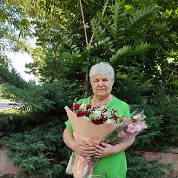 ���� ������, ������ - ��������� 20 ����� 2026