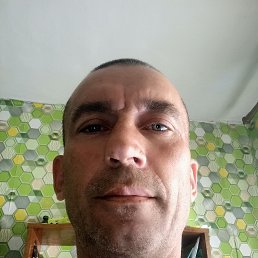 , 41, 