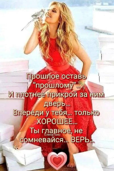 �������� - 22 ���� 2026 � 19:22 - 3