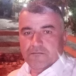 ���������, �������, 42 ����