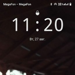 �������, 41 ���, ������