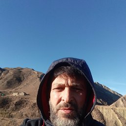 , 43, 