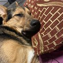 ���� Kuvalda_600, ���������, 40 ��� - ��������� 21 ����� 2024 � ������ ���� ����������