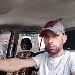 ������� ��������, 38 ���, ������