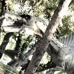 ������, ������, 25 ���