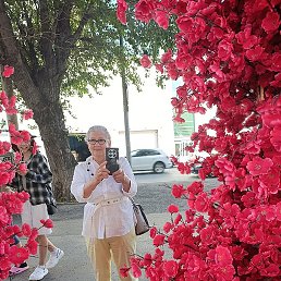 , 67, 
