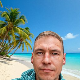 �������, 36 ���, ����