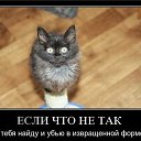 ���� ������, ������ - ��������� 28 ������ 2026 � ������ ������ ��������