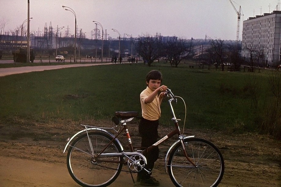     - .. . , , 1981 .