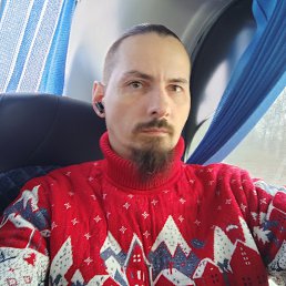 ���� �����, �������, 41 ��� - ��������� 11 ������ 2025