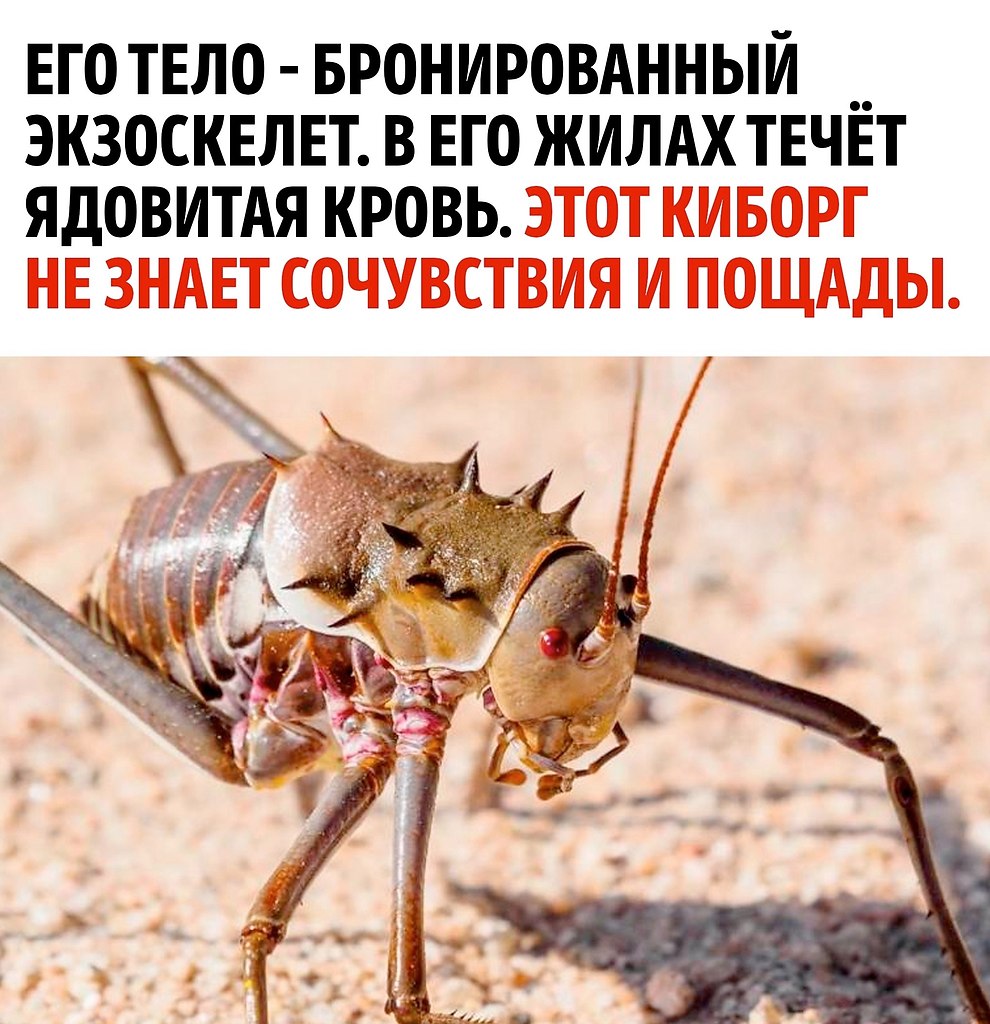 ������� �����������, ��� �� � ���� �� ����� �������