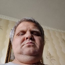 , 41, 