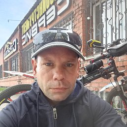 , 41, 