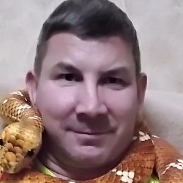 , , 48 